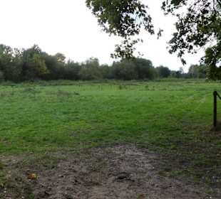 Blick auf die Koppel