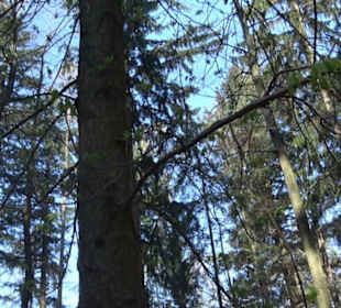 Wanderung Florianrunde