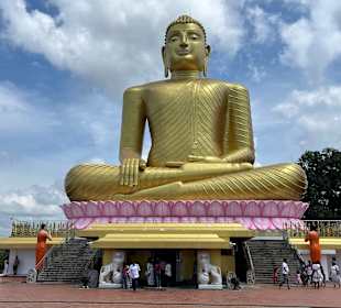 Golden Buddha Aluthgama