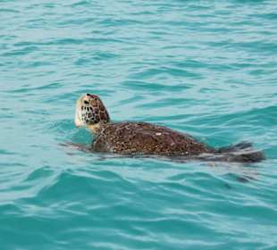 Nationalpark Sian Ka'an