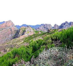 Pico do Arieiro
