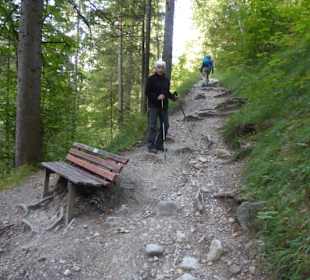 Mariandl-Alm - Bergpfad