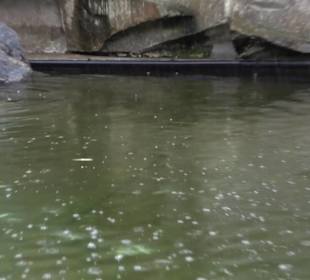 Tierpark