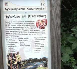 Wanderweg Märchensee Runde