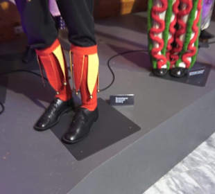 Fastnachtsmuseum Narrenschopf