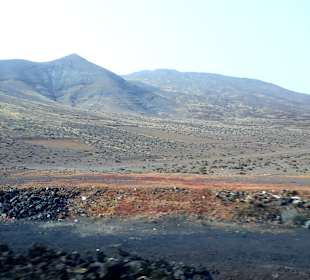 Inselrundfahrt AIDA Tagestour