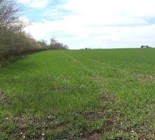 Vulkankrater-Rundweg Apfelstetten