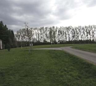 Lehrpfad Bäume des Jahres