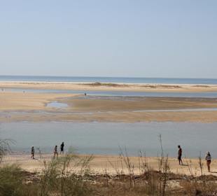 Blick in das Naturschutzgebiet