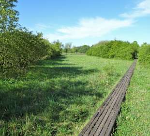 Eindrücke aus dem Wietzepark
