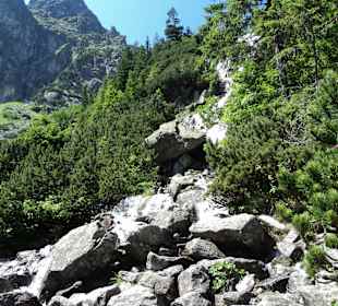 Tatrzański Park Narodowy