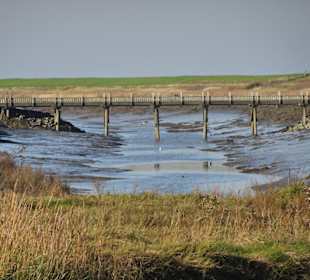 Rundgang durch den Langwarder Groden