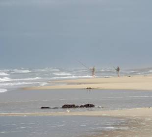 Strandangler sind hier gerne