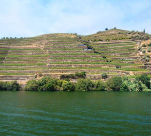 Douro Flussreisen