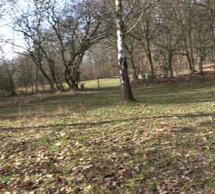 Grillplatz Tellerhecke