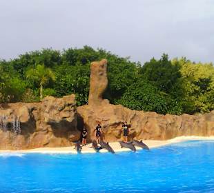 Ausflüge. Loro Park