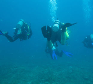 Tauchgang in die Unterwasserwelt Grenadas