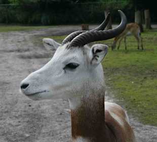 Serengeti Park Hodenhagen