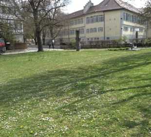 Krautmarkt