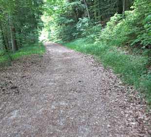 Waldlehrpfad in Tieringen