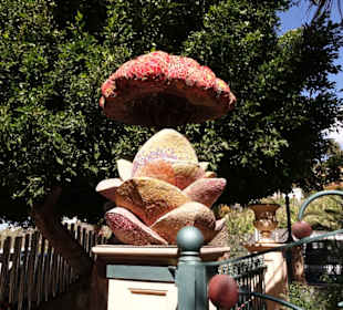 Seltsame Schöpfungen