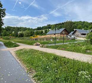 Wandern Nohfelden