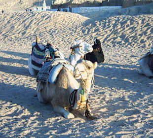 Lach ich nicht schön?