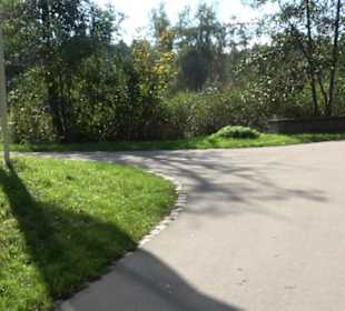 Engelhalde Café