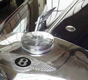 Rundgang durch die Ausstellung