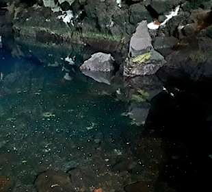 Jameos del Agua Cesar Manrique
