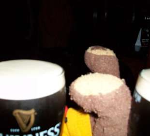 Misie nie powinny pić Guinnessa