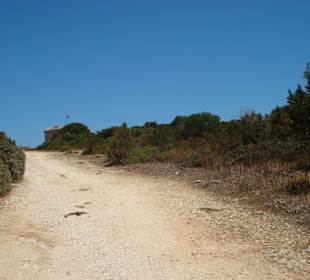 Der Weg zur Burg