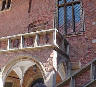 Dziedziniec uniwersytetu