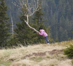 Berg Schneekoppe/Śnieżka