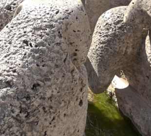 Schäferbrunnen Bierlingen