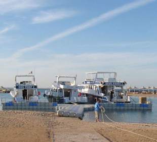 Flotte Divepoint Tauchschule