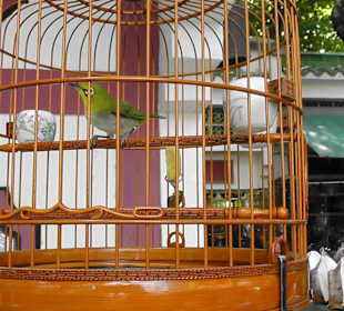 Schön aber nicht beneidenswerte Umgebung