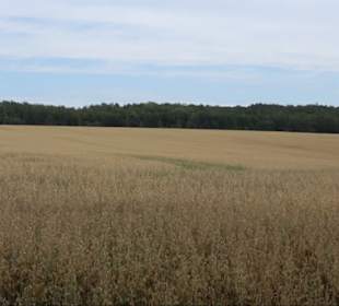 Sonnenaufgangs-Rundwanderung Rübgarten