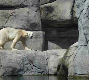 Tierpark Hagenbeck