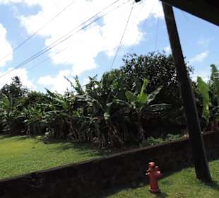 Auf Pago Pago unterwegs