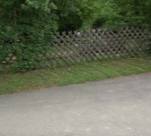 Friedhof Derendingen