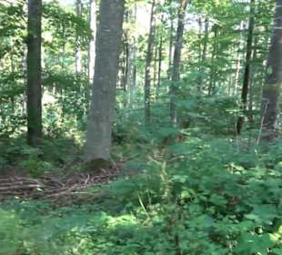 Premiumwanderweg "hochgesprudelt"