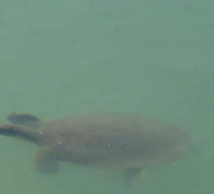 Von der Brücke am Hafen aufgenommen