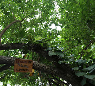 May this will be the only problem i have!