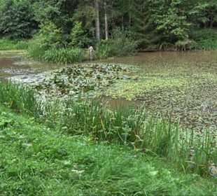 Waldsee Grottenloch Rübgarten