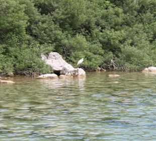 Озеро Курнас 