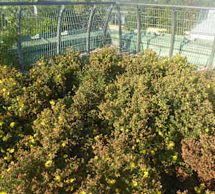 Universitätsbibliothek Warschau