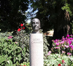 Büste von Loki Schmidt