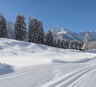 Sport & Freizeit