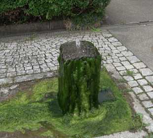 Rathaus Grünmettstetten